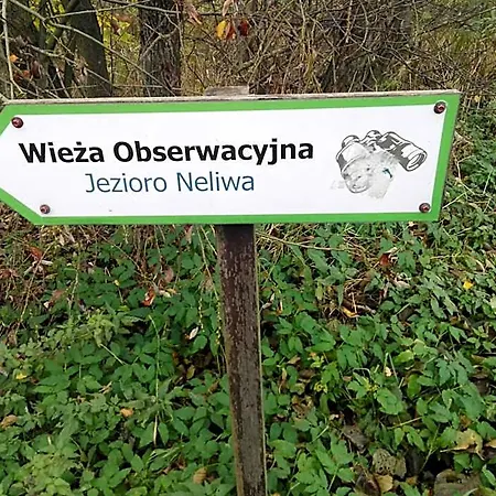 Na Mazurach Lesne Zacisze * Grodziczno