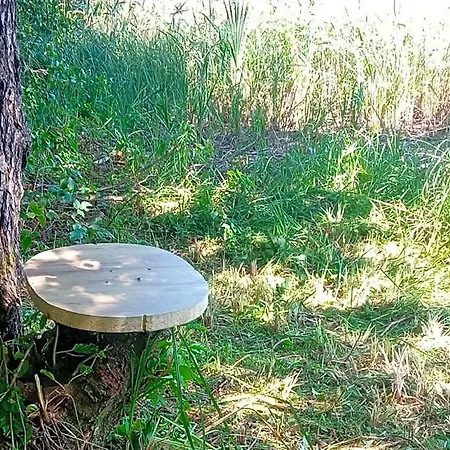 Hotel Na Mazurach Lesne Zacisze *