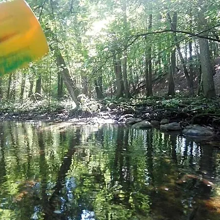 Hotel Na Mazurach Lesne Zacisze Grodziczno